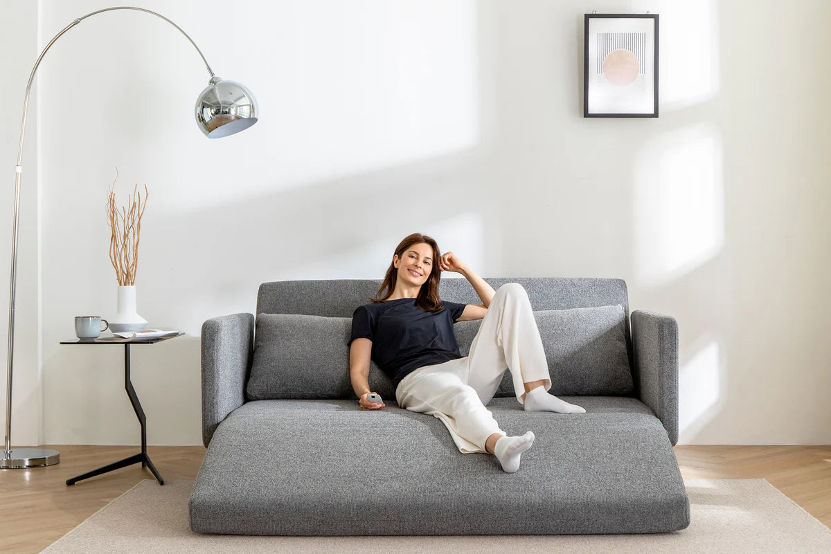 芝 華 仕 梳 化 專門 店
兩 座位 梳 化 床
實惠 梳 化 床
ikea 單 人 梳 化 床
ikea sofa bed
image of sofa bed